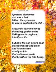 i pretend aloneness
