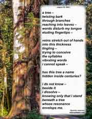 a tree