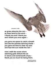 as grass absorbs