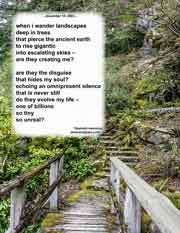 when i wander