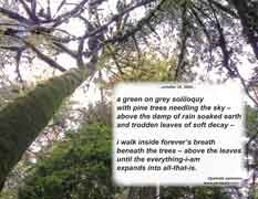 a green on grey