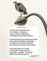 i am not what