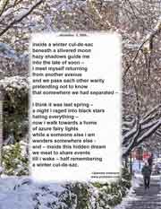 inside a winter