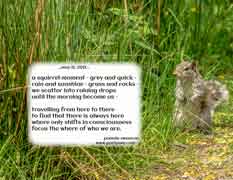a squirrel moment