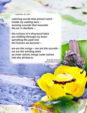 catching words