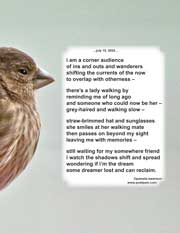 i am a corner