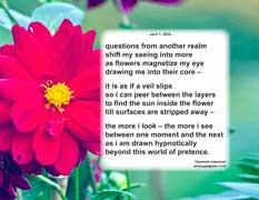 questions from