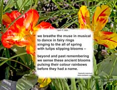 we breathe the muse